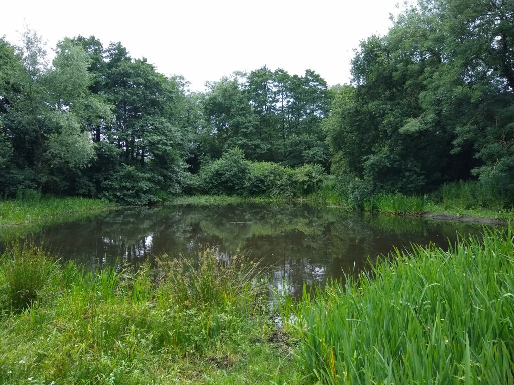 Hassacarr Pond