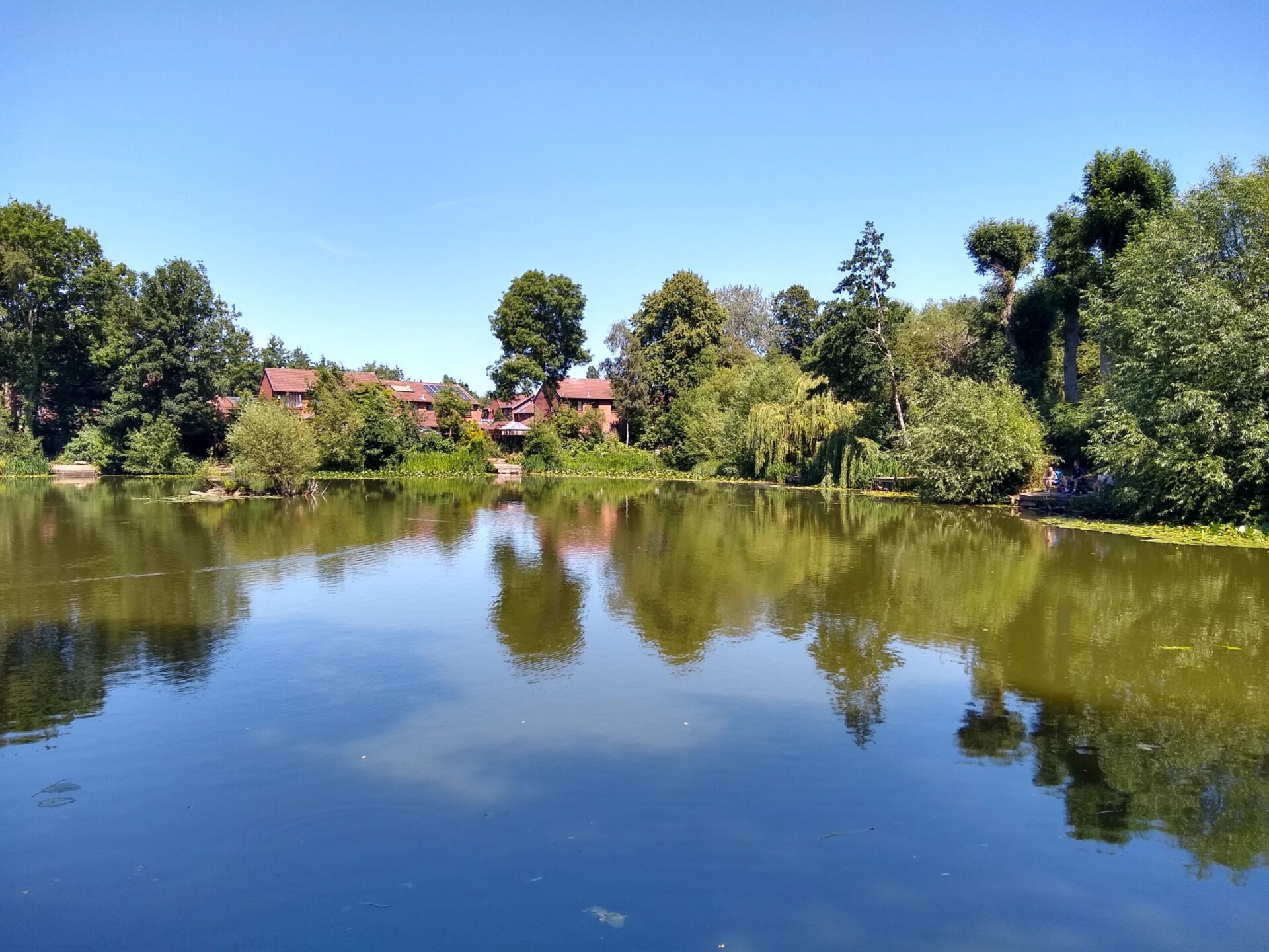 The Railway Pond And Reserve – Wild York