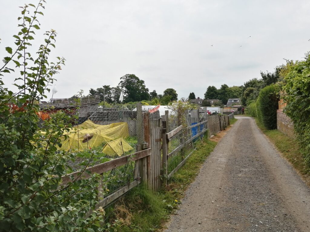 Green Lane Allotments – Wild York